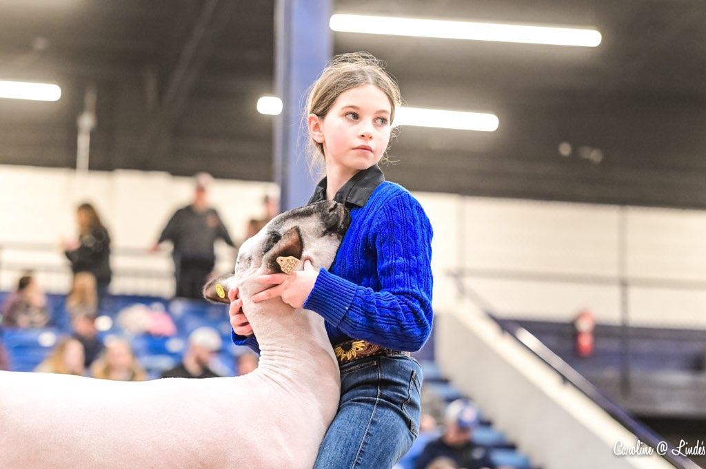 Delaney Henry in the 4H show ring.